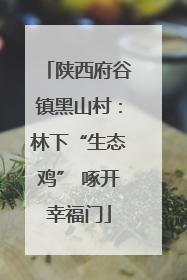 陕西府谷镇黑山村：林下“生态鸡” 啄开幸福门